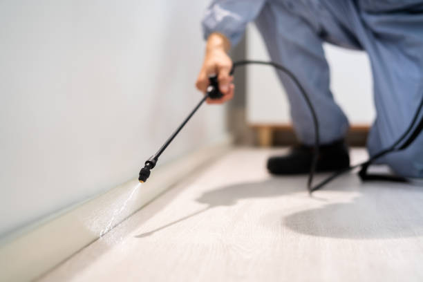 Licensed Cockroach Control service in Glasgow, VA - Nex Pest Control