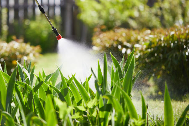 24/7 Emergency Cockroach Control experts in Glasgow, VA