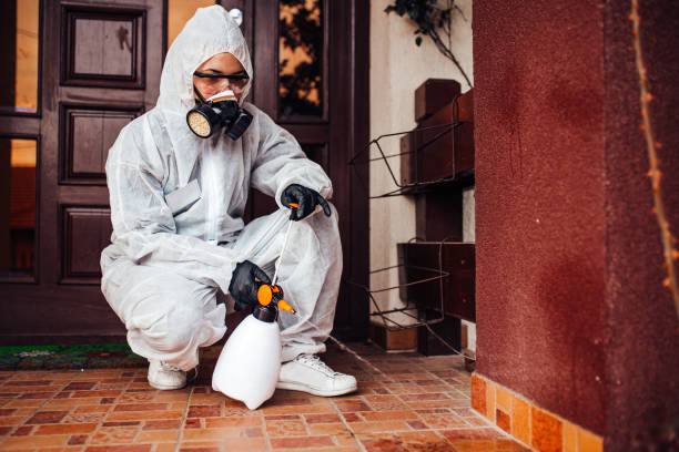 Reliable Cockroach Control contractor in Glasgow, VA by Nex Pest Control