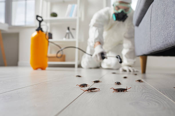 Affordable Cockroach Control solutions in Glasgow, VA