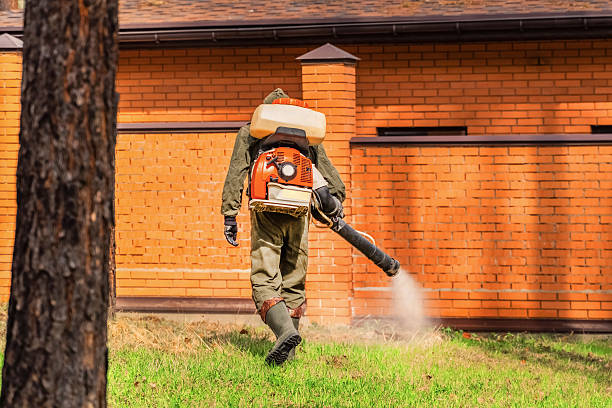 Top rated local Cockroach Control specialists in Glasgow, VA